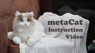 metaCat | Explore the Capabilities and Settings of the Bionic Companion Pet