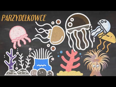 Parzydełkowce. Przedziwna grupa zwierząt! Meduza i polip, rafa koralowa i dużo ciekawostek