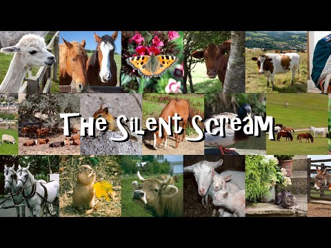 The Silent Scream (Vegan Anthem)