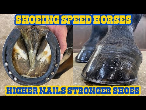 Shoeing Performance Horses — Stronger Higher Nails