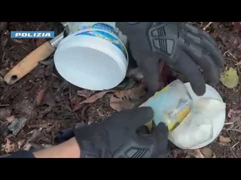 Generico luglio 2022