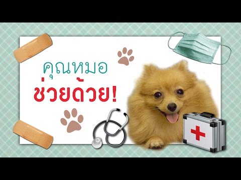 วิธีกำจัดเห็บ