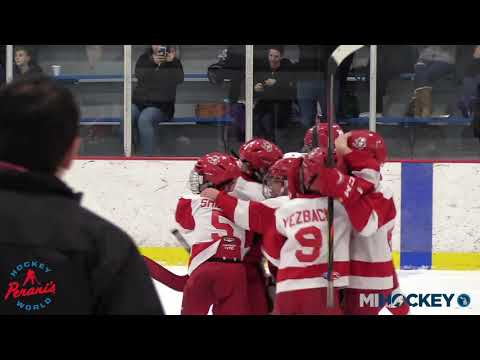 2020 MAHA 8U Cross-Ice Red Division State Championship - Soo Lakers #1 vs. St. Clair Shores Saints