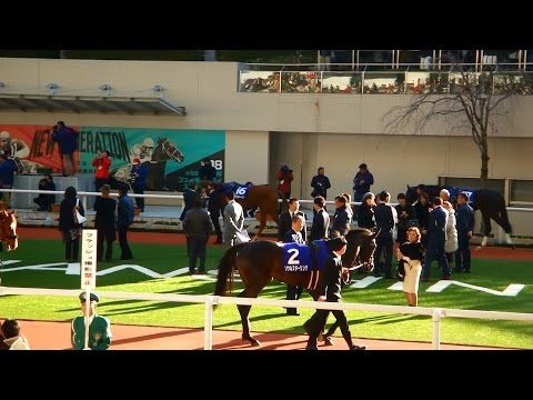 ソウルスターリング、阪神ジュベナイルフィリーズのパドック。現地映像。２０１６年１２月１１日