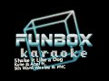 Kane Abel Shake It Like A Dog Funbox Karaoke 2000
