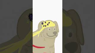 Rabies: How the Virus Controls Its Host — Full Breakdown & Transcript
