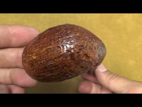 Pipa L'Anatra Sabbiata  - Bent Billiard - filtro 9mm - AN127