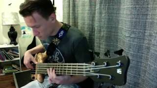 Sever- 311- Bass Cover