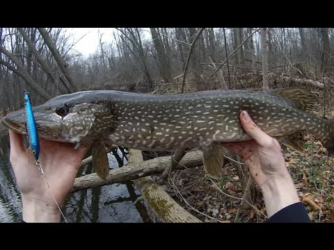 Cold water pike fishing