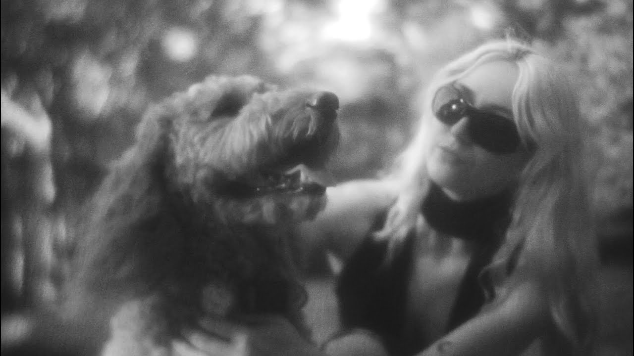 Sitcom - Question (music video)