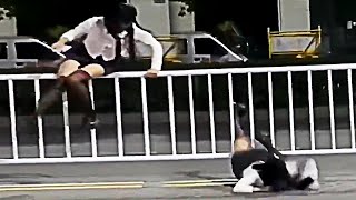 memes pra vc nunca mais cair em público 😑 Compilado Shitpost