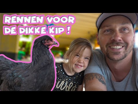 PIP THINKS THE CHICKEN IS VERY EXCITING!!