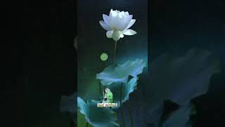 Download lagu ஆயிரம் தாமரை மொட்டுக்களே இசையாய் mp3