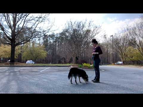 [River - Z2CD] - Feedback Conf. Games