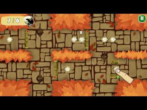 Sheep + Road = Danger Video