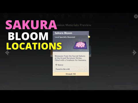 WHERE TO FIND "Sakura Bloom" LOCATIONS Ascension Materials for Ayaka | GENSHIN IMPACT