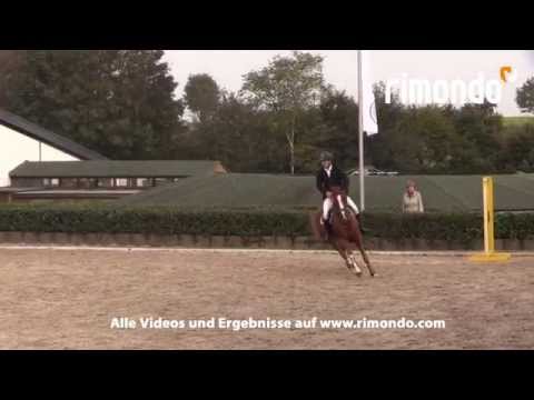 Wipperfürth: Carsten Esser & For Blondie Kl.S* mit Stechen (Nr.32) 05.10.2014