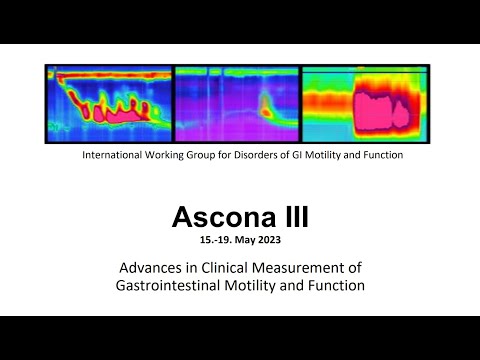 Ascona III - Chicago IV and the Frontiers of Oesophageal Motility Disorders I