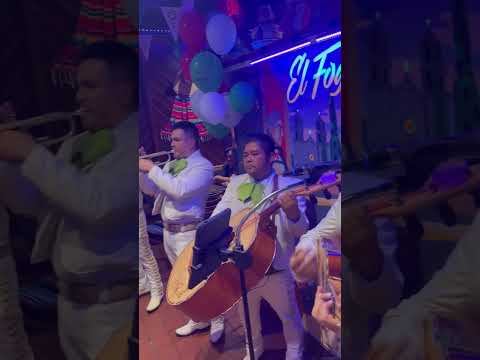Promotional video thumbnail 3 for Mariachi Veracruz