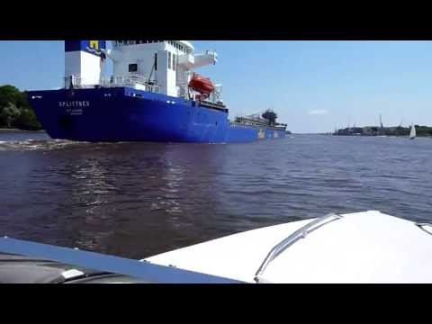 Filou und Relax fliegen auf der Weser