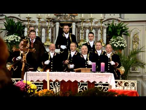 Le printemps de Novel