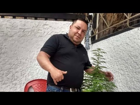 Siempre Guerrero - Los Carlos Julios.