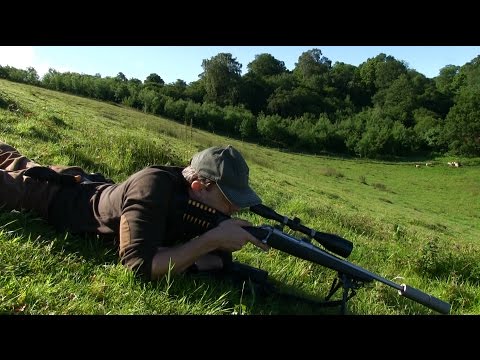 Deer Stalking Ballistics