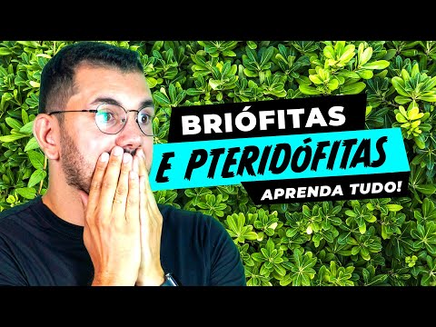 Learn all about Bryophytes and Pteridophytes