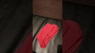 浜田聡、京都市内街宣、本格始動開始‼️