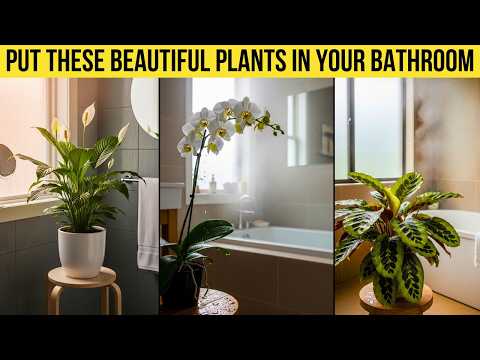 7 Bathroom Plants That Love Humidity and Low Light