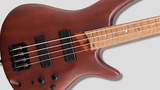 Video thumbnail for Ibanez SR 500E - What Does it Sound Like? by Deadbeat Studios