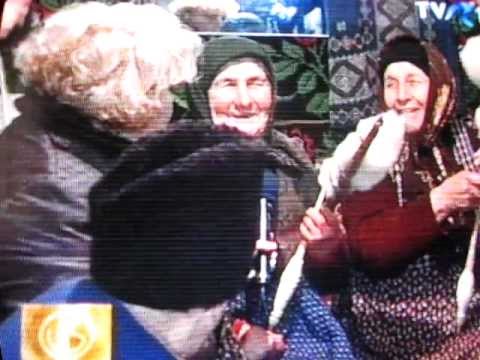 Ciolanesti sezatoare de iarna .avi