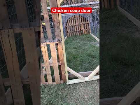 Coop Build 2020 - Omaha by Rugged Ranch Review