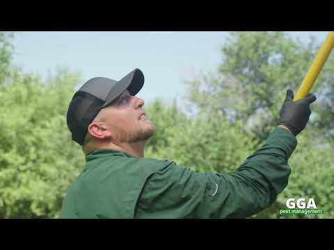 GGA Pest Management YouTube video thumbnail 7