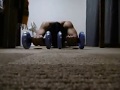 アブローラー200回(5秒以内に1回のテンポ) 200 Ab wheel