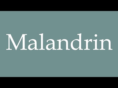 How to Pronounce ''Malandrin'' (Rogue) Correctly in French