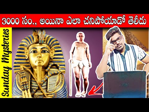 The Mystery of King Tutankhamun || Unknown Facts About Tutankhamun || Kranthi Vlogger