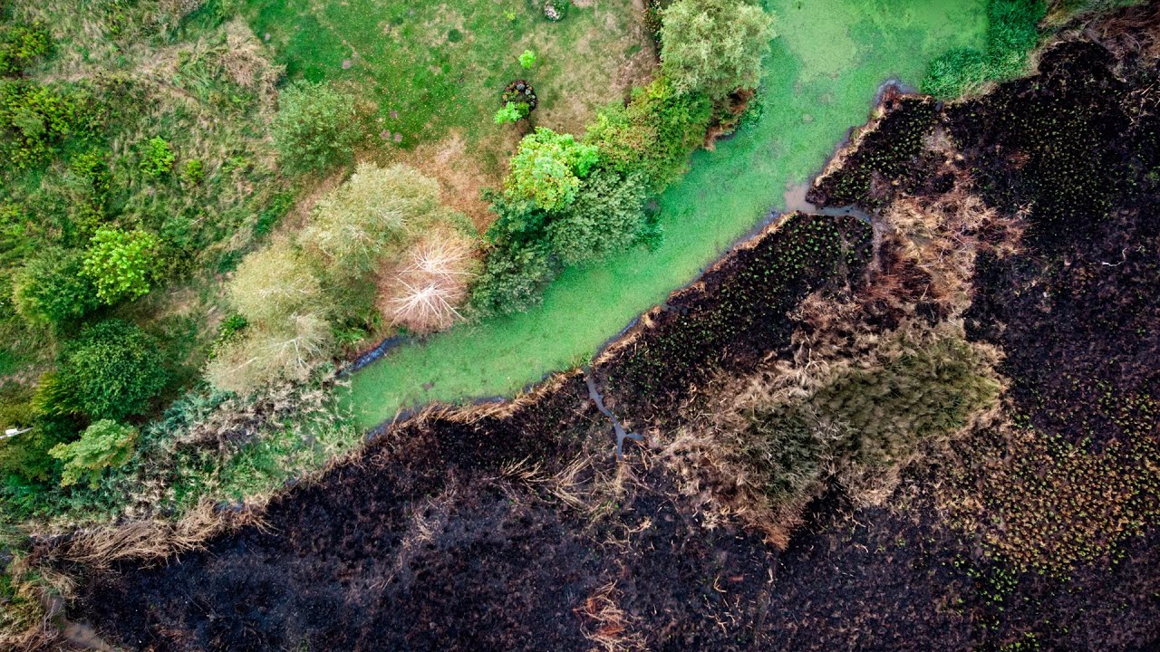 Susza. Dramat w trzech aktach