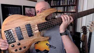 Video thumbnail for ESP LTD B-205SM FL Five String Fretless Bass Guitar Review - Alan Harwood Collection 26 by Darren Lock Music