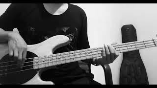311 - Damn (Bass Cover)