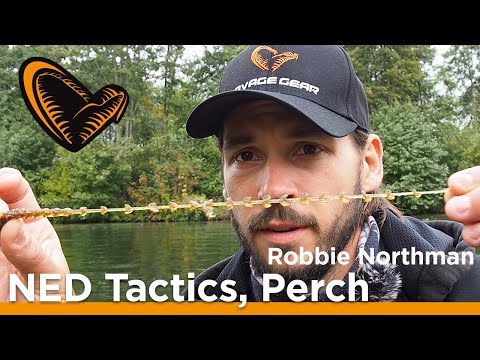 NED Fishing Tactics for Perch - Robbie Northman