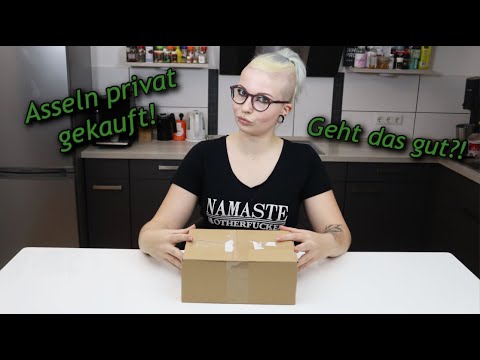 Panda Asseln Unboxing - unsere erste Assel Art zieht ein! 🐞 | Liliths Colorful Garden