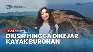 Syok! Angela Gilsha Diusir saat Dekati Area Tambang Nikel Raja Ampat: 
