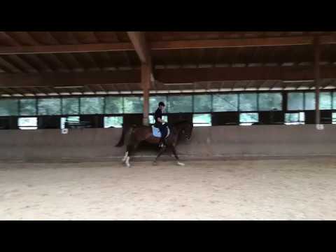 Leonardo von Livaldon