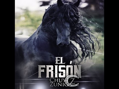 Chuy Zuñiga - El Frison (Video Lyric 2020)