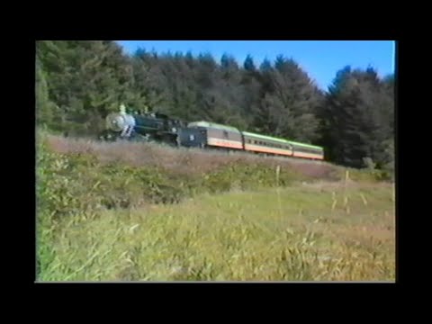888. OP&E # 19 STEAM TRAIN by grass fill on the OREGON PACIFIC & EASTERN Cottage