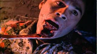 DANZIG´S ZOMBIE TRIBUTE (ALL MURDER ALL GUTS ALL FUN)