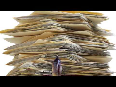 OTEVŘENÁ KNIHA Divadla D21