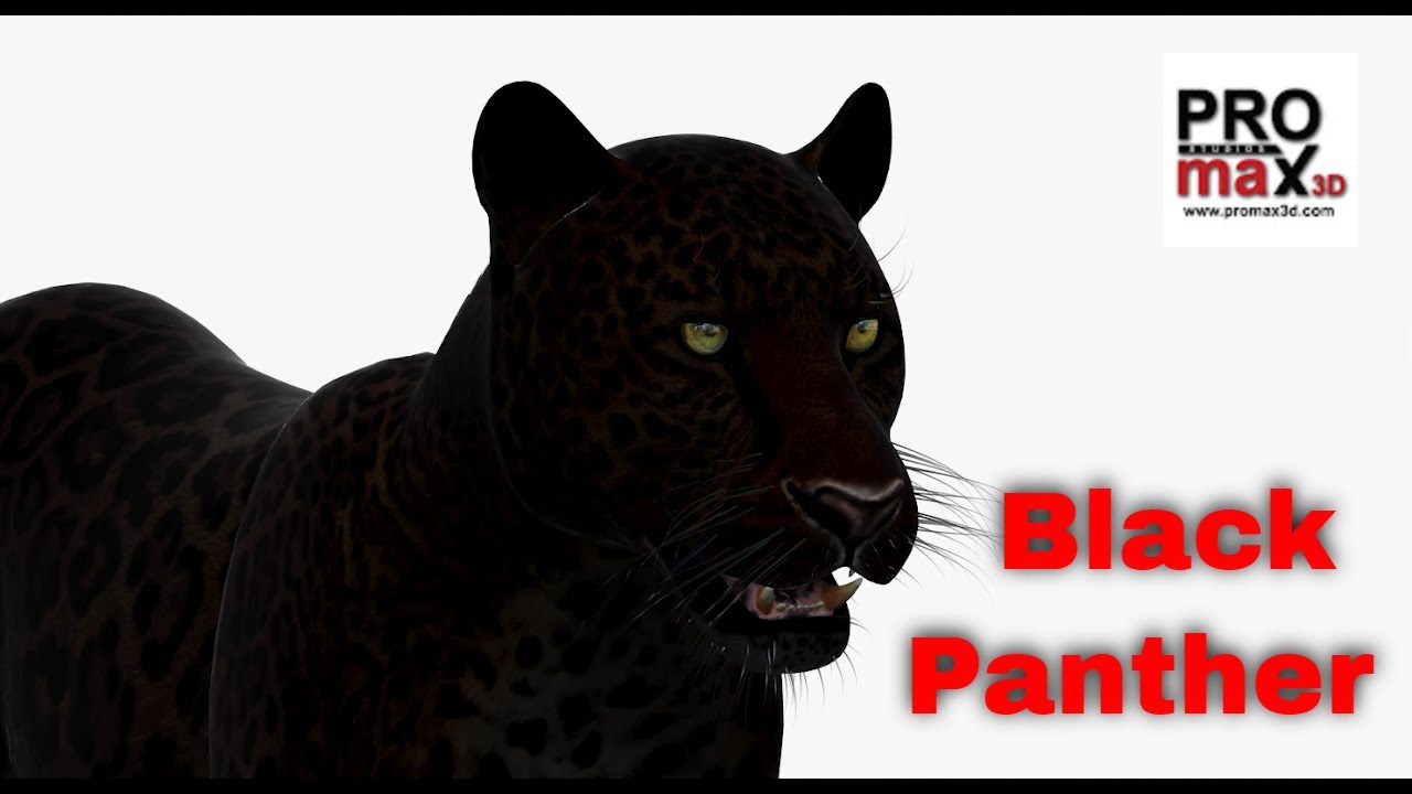 Пантера 3D Модель
