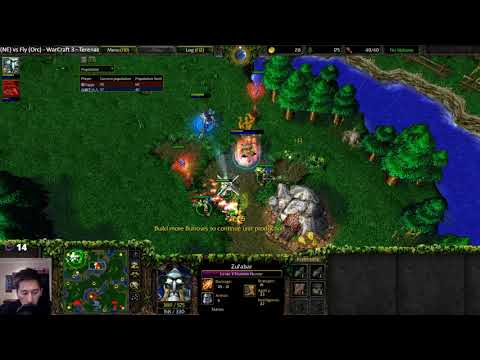 Foggy (NE) vs Fly (Orc) - WarCraft 3 - WC2337